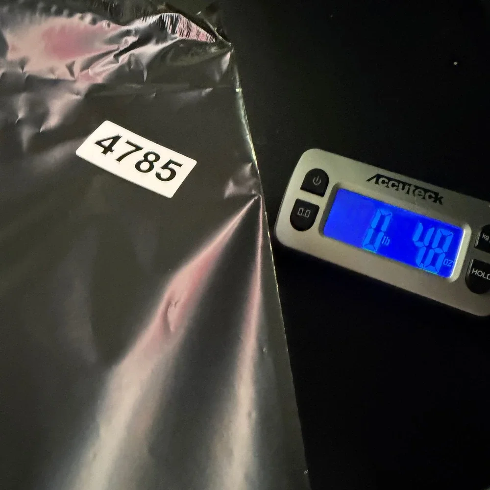 adidas athletic shorts